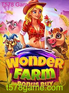 WonderFarmBonusBuy: Guie pela descoberta do T578 Game